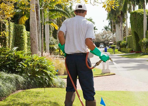 About Blair WI Pest Control